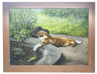 Картина «Кот» №2609 (Джонс А.С.)