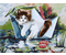 Картина по номерам на картоне «Три совы», 30*40 см, «Котик в кораблике»
