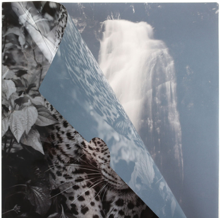 Папка-уголок пластиковая Brauberg А4 (с рисунком), толщина пластика 0,15 мм, Leopard