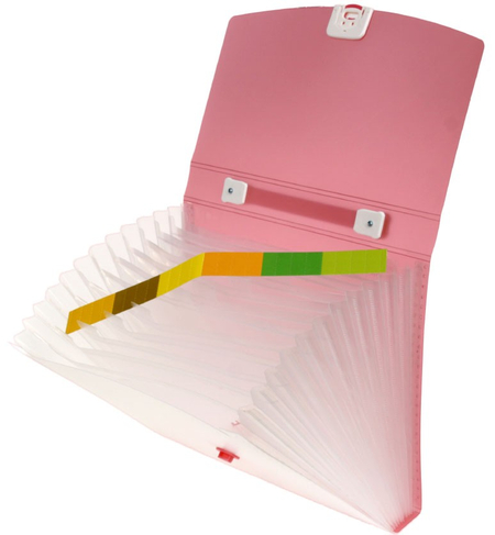 Портфель пластиковый 13 отделений Focus, 330*240*45 мм, розовый