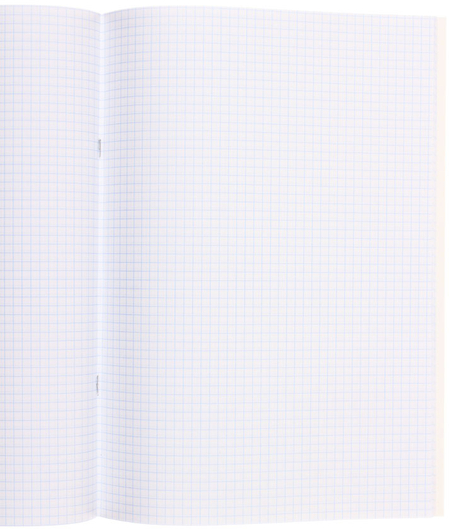 Тетрадь общая А4, 48 л. на скобе «Путешествия. Black&White», 205*296 мм, клетка, ассорти