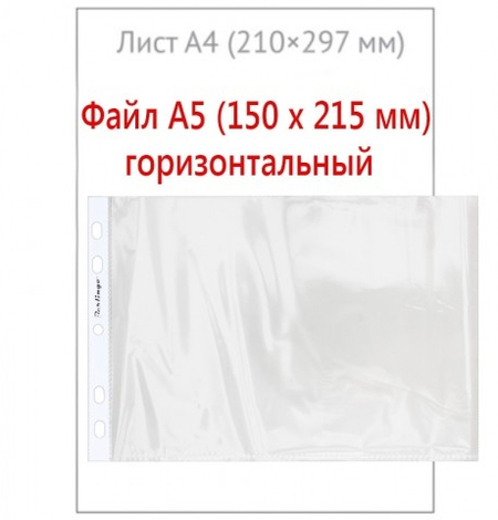 Файл А5 перфорированный горизонтальный Berlingo, 30 мкм, гладкий, глянцевый, горизонтальный, 150*215 мм (до 80 л.)