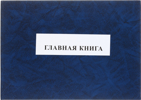 Главная книга, 297*210 мм, 150 л., ассорти Главная книга, 297*210 мм, 150 л., ассорти