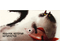 Открытка-конверт для денег Meshu, 85*164 мм, Funny Cats, ассорти
