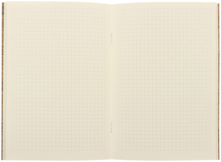 Тетрадь общая А5, 48 л. на скобе «Котенок в пионах», 140*202 мм, клетка Тетрадь общая А5, 48 л. на скобе «Котенок в пионах», 140*202 мм, клетка