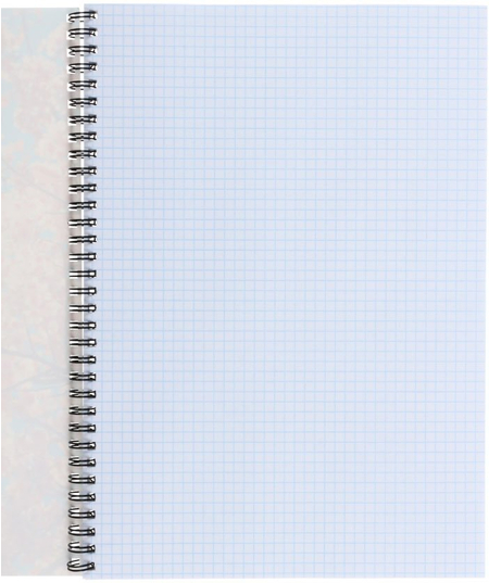 Тетрадь общая А4, 80 л. на гребне «Природа», 200*285 мм, клетка, «Пора цветения»