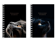 Книжка записная на гребне «Взгляды котиков» Книжка записная на гребне «Взгляды котиков»