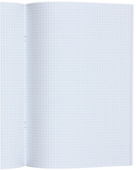 Тетрадь общая А4, 96 л. на скобе «Серебро», 205*297 мм, клетка, ассорти Тетрадь общая А4, 96 л. на скобе «Серебро», 205*297 мм, клетка, ассорти