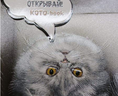 Тетрадь общая А5, 48 л. на скобе «Кот - это жидкость», 163*203 мм, клетка, ассорти