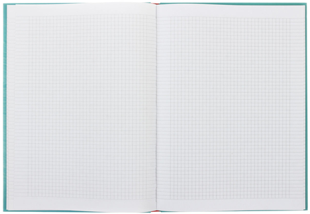 Книжка записная «Бизнес-блокнот» BG А4 (120 л.), 215*295 мм, 120 л., клетка, Problem? Книжка записная «Бизнес-блокнот» BG А4 (120 л.), 215*295 мм, 120 л., клетка, Problem?