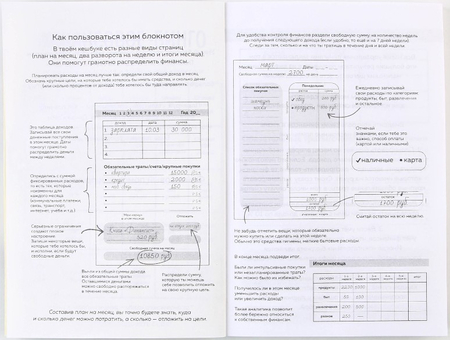 Книжка записная для планирования финансов Cashbook, 100*140 мм, 68 л., «Кот»
