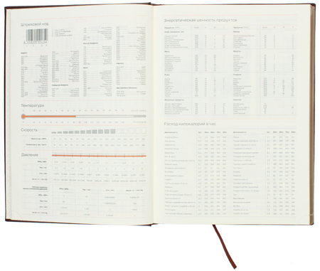 Ежедневник датированный на 2026 год BG Dallas (А4), 210*297 мм, 176 л., коричневый Ежедневник датированный на 2026 год BG Dallas (А4), 210*297 мм, 176 л., коричневый