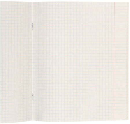 Тетрадь общая А5, 48 л. на скобе BG «Двор», 165*202 мм, клетка, ассорти