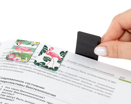 Набор закладок для книг магнитных Brauberg, 6 шт., 35*25 мм, Flamingo, для девочек Набор закладок для книг магнитных Brauberg, 6 шт., 35*25 мм, Flamingo, для девочек