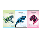 Тетрадь общая А4, 96 л. на скобе BG «Рисование», 205×295 мм, клетка, ассорти