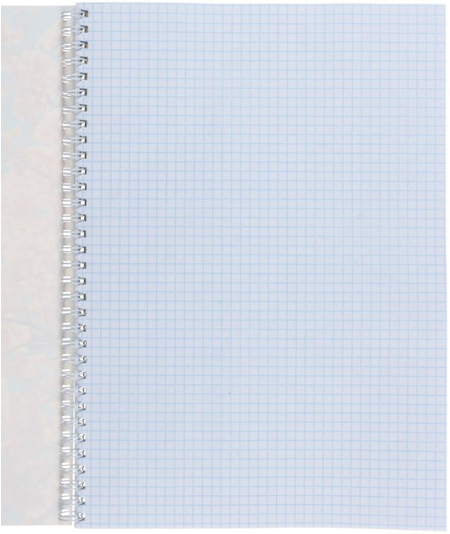 Тетрадь общая А4, 80 л. на гребне «Природа», 200*285 мм, клетка, «Пора цветения»