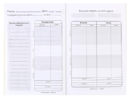 Книжка записная для планирования финансов Cashbook, 100*140 мм, 68 л., «Склерозница»