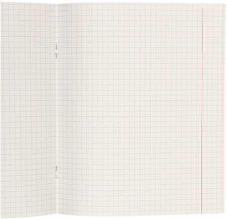 Тетрадь общая А5, 48 л. на скобе BG Wild, 163*202 мм, клетка, ассорти