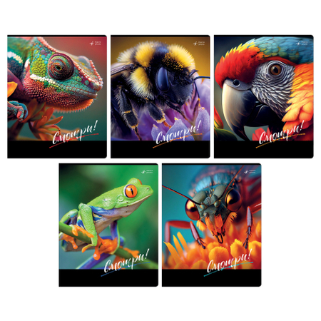 Тетрадь общая А5, 48 л. на скобе BG «Смотри», 165*202 мм, клетка, ассорти Тетрадь общая А5, 48 л. на скобе BG «Смотри», 165*202 мм, клетка, ассорти