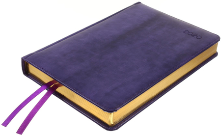 Ежедневник датированный на 2020 год Berlingo xGold (A5), 143*210 мм, 184 л., фиолетовый