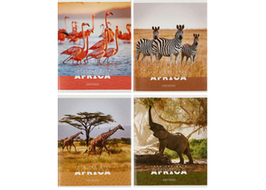 Тетрадь общая А5, 96 л. на скобе ArtSpace «Животные. Nature of Africa», 163×203 мм, клетка, ассорти