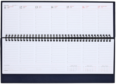 Планинг датированный на гребне на 2021 год Ariane, 330*130 мм, 64 л., синий