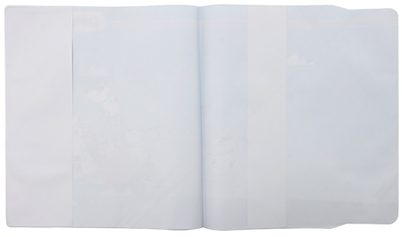 Обложка для тетрадей и дневников универсальная Silwerhof, 230*420 мм, толщина 150 мкм, Jolly Dogs, ассорти
