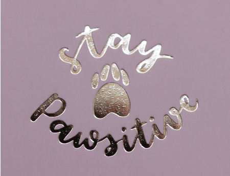 Тетрадь общая А5, 48 л. на скобе «На позитиве», 160*203 мм, клетка, ассорти Тетрадь общая А5, 48 л. на скобе «На позитиве», 160*203 мм, клетка, ассорти