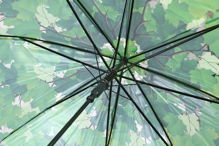 Зонт женский от дождя (трость) , «Зеленые листья» 