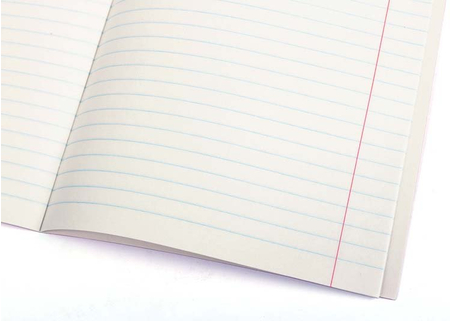 Тетрадь общая А5, 48 л. на скобе «Эволюция-революция», 165*205 мм, «Литература», линия Тетрадь общая А5, 48 л. на скобе «Эволюция-революция», 165*205 мм, «Литература», линия