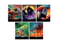 Тетрадь общая А5, 48 л. на скобе BG «Смотри»