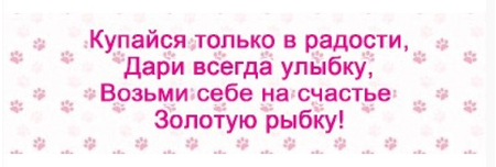 Открытка-конверт для денег «Стильная открытка», 165*85 мм, «На исполнение желаний!» Открытка-конверт для денег «Стильная открытка», 165*85 мм, «На исполнение желаний!»