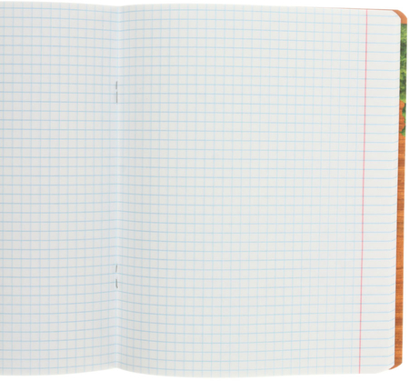 Тетрадь предметная А5, 48 л. на скобе «3D Эко», 162*202 мм, клетка, «Английский язык»