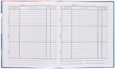 Дневник школьный «Брестская Типография», 44 л., для 5-11 классов (на русском языке), «вид 1 - для мальчика»