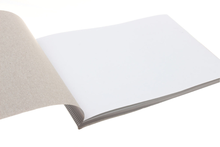 Альбом для черчения «Полиграфкомбинат», А4 (210*297 мм), 35 л. Альбом для черчения «Полиграфкомбинат», А4 (210*297 мм), 35 л.