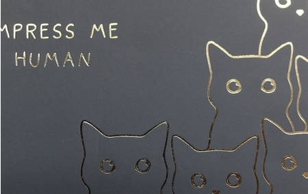 Тетрадь общая А5, 100 л. на кольцах Meshu, 160*210 мм, клетка, Amazing Cats Тетрадь общая А5, 100 л. на кольцах Meshu, 160*210 мм, клетка, Amazing Cats