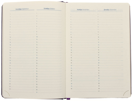 Ежедневник недатированный Berlingo xGold, 143*210 мм, 160 л., фиолетовый Ежедневник недатированный Berlingo xGold, 143*210 мм, 160 л., фиолетовый