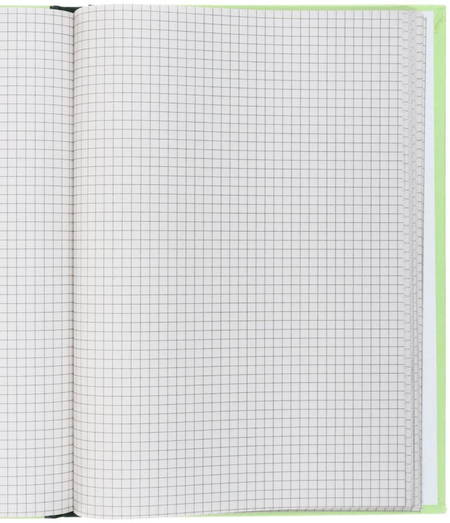 Книга учета Lite, 210*297 мм, 96 л., клетка, светло-зеленая Книга учета Lite, 210*297 мм, 96 л., клетка, светло-зеленая