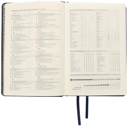 Ежедневник датированный на 2026 год Berlingo xGold (А5), 145*215 мм, 184 л., синий