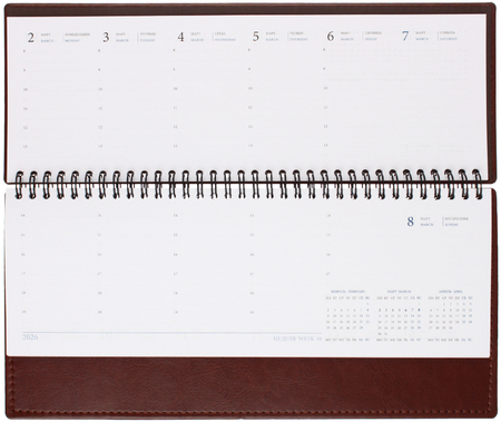 Планинг датированный на гребне на 2026 год Agenda, 303*150 мм, 60 л., коричневый