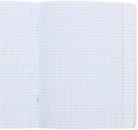 Тетрадь предметная А5, 48 л. на скобе «Жиза кота», 162*202 мм, клетка, «География»