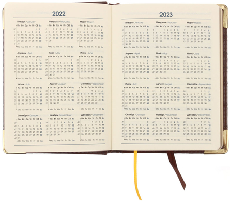 Ежедневник датированный на 2022 год Business Premium (А6), 110*145 мм, 176 л., Impact, темно-коричневый