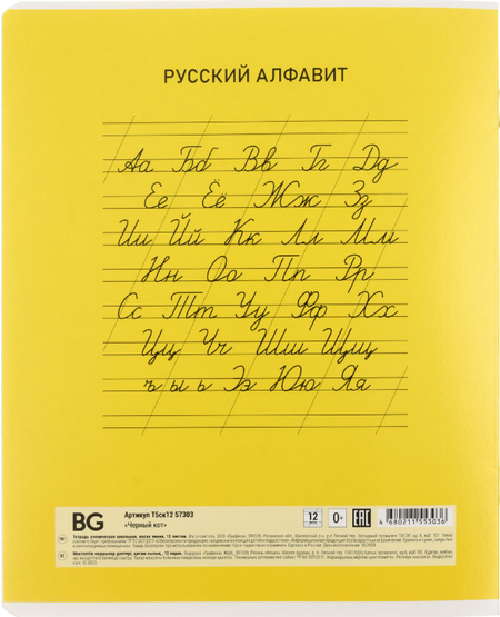 Тетрадь школьная А5, 12 л. на скобе BG «Черный кот», 163*202 мм, косая линия, ассорти