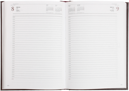 Ежедневник датированный на 2026 год Ideal New, 146*206 мм, 168 л., коричневый