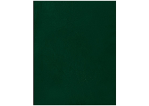 Тетрадь общая А5, 48 л. на скобе BG, 162×202 мм, клетка, зеленая