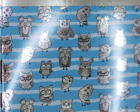 Тетрадь общая А5, 48 л. на скобе DIY Collection. «Милые совы», 162*202 мм, клетка, ассорти Тетрадь общая А5, 48 л. на скобе DIY Collection. «Милые совы», 162*202 мм, клетка, ассорти