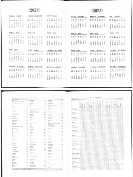 Ежедневник недатированный Prof-Press А6, 110*148 мм, 96 л., черный Ежедневник недатированный Prof-Press А6, 110*148 мм, 96 л., черный
