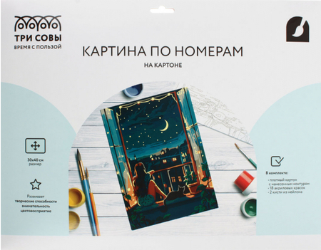Картина по номерам на картоне «Три совы», 30*40 см, «Звездная ночь»