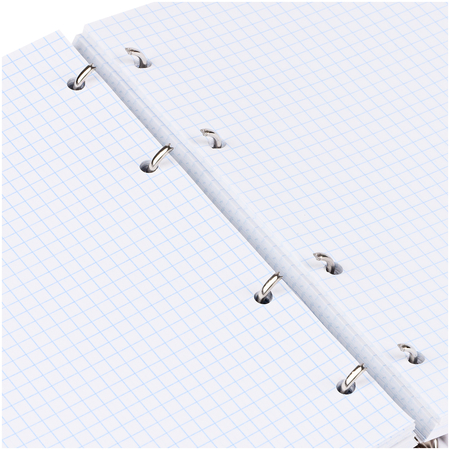 Тетрадь общая А5, 240 л. на кольцах BG, 170*215 мм, клетка, «Васильковое настроение»