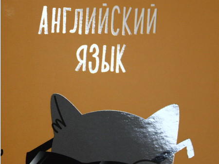 Тетрадь предметная А5, 48 л. на скобе «Комус Класс «Котики», 162*200 мм, клетка, «Английский язык»